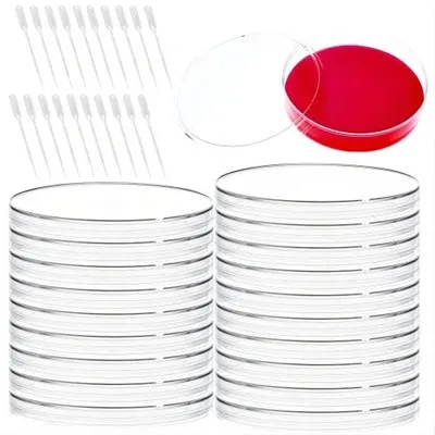 60mm Cell Culture Petri Dish For Lab